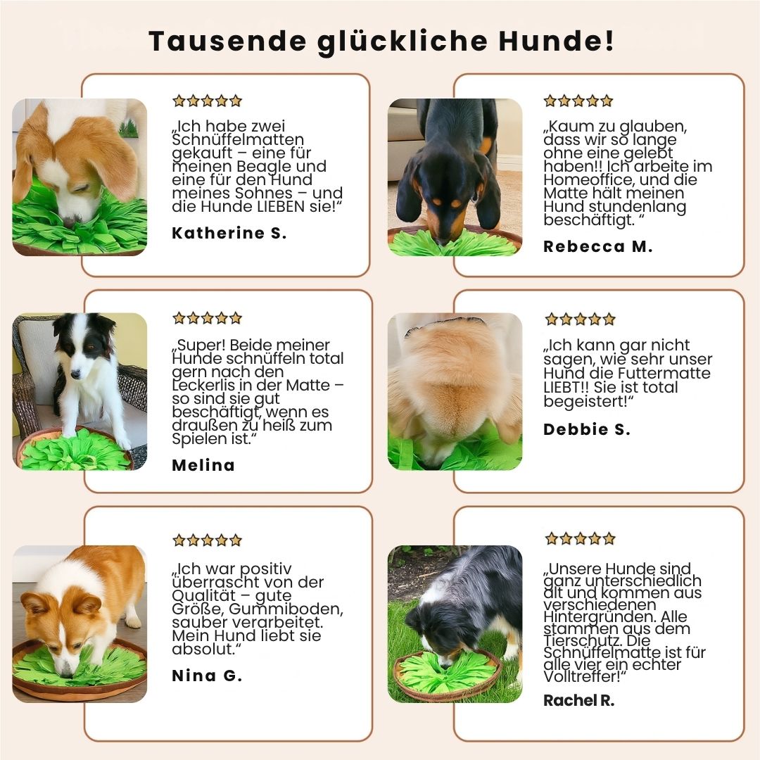 Schnüffel-Futtermatte