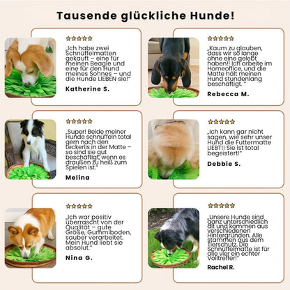 Schnüffel-Futtermatte